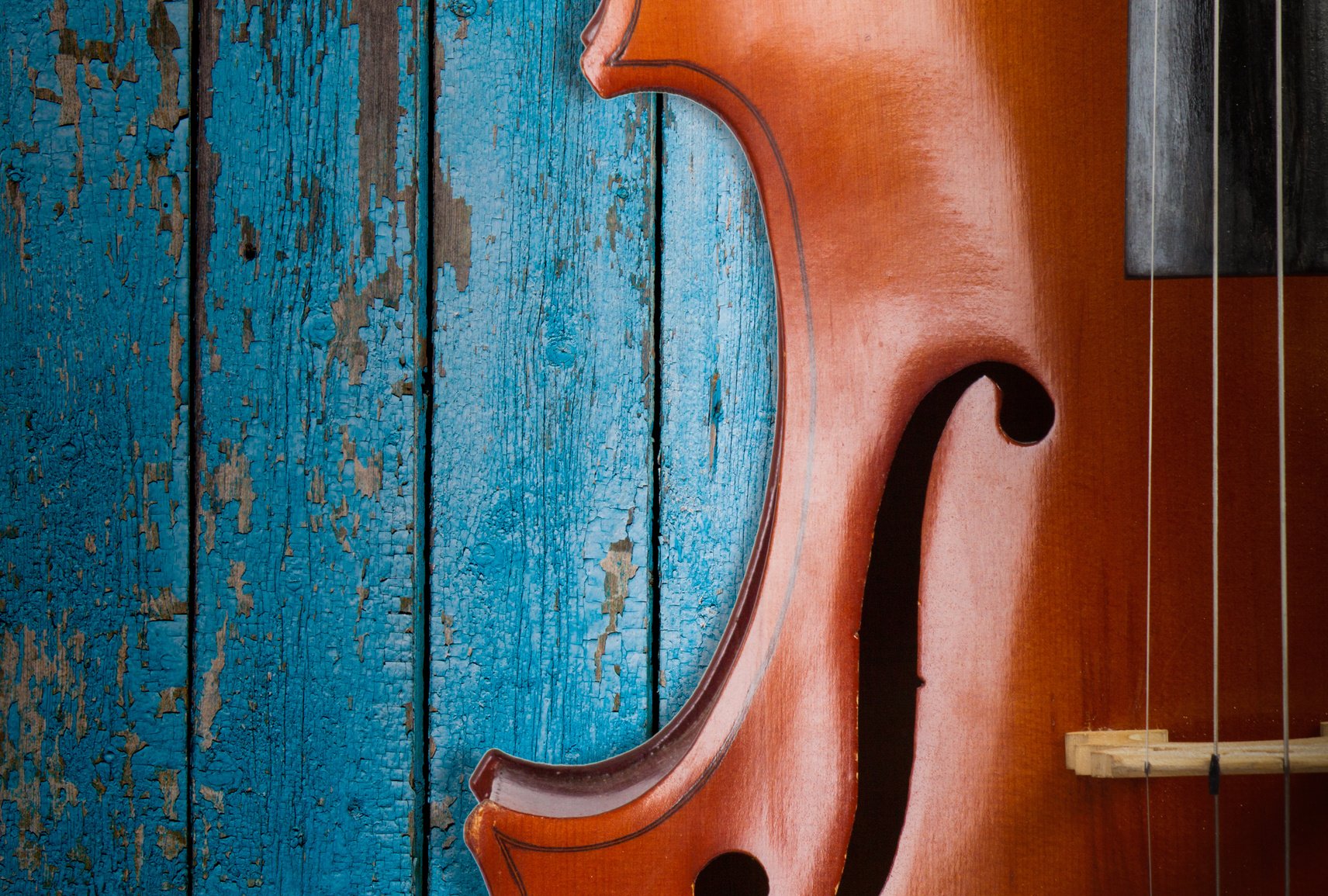 Cello in the interior